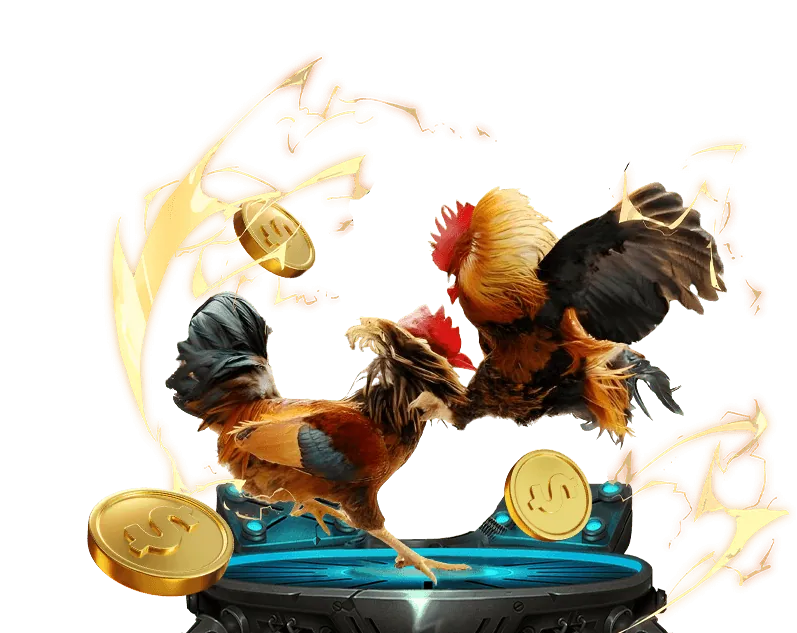 Đá gà truyền thống